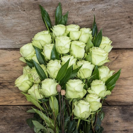 long stem roses from ecuador