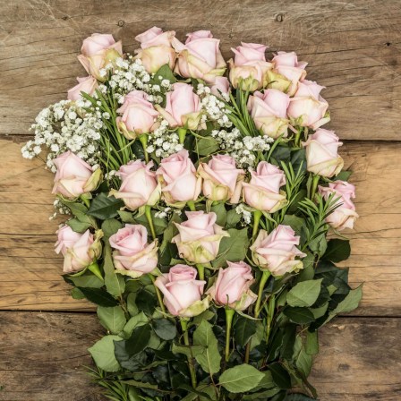 long stem roses from ecuador