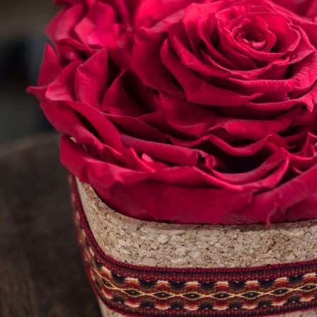 preserved roses from ecuador