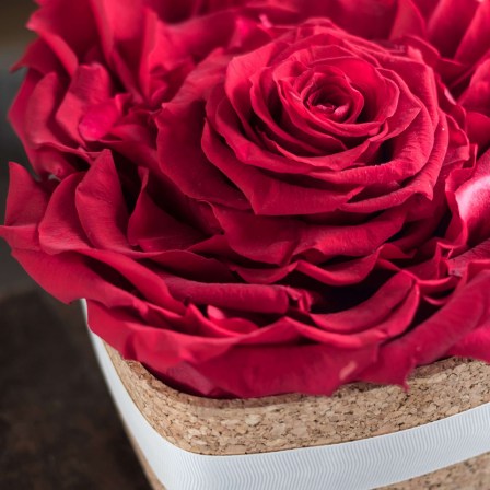 preserved roses from ecuador