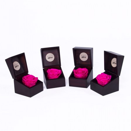 preserved roses from ecuador