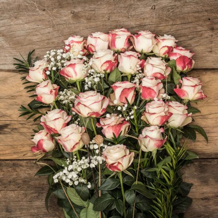 long stem roses from ecuador