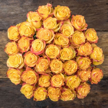 long stem roses from ecuador