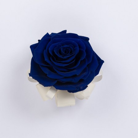 01_blue_big_corsage8