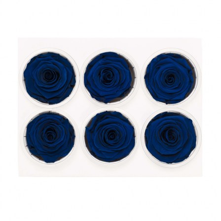03_blue_roses_button_top-view