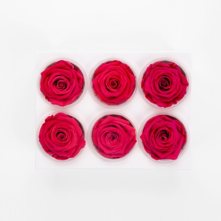 preserved roses from ecuador