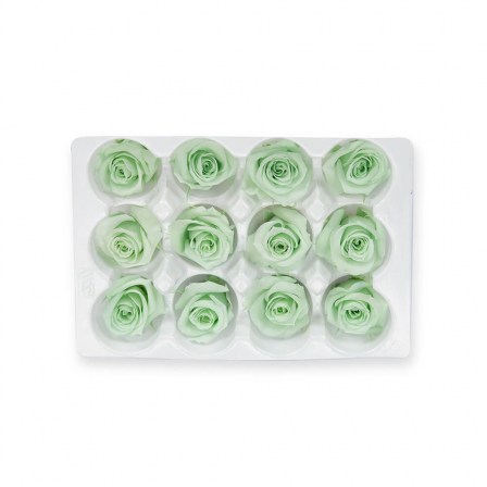 05_mint_mini_roses