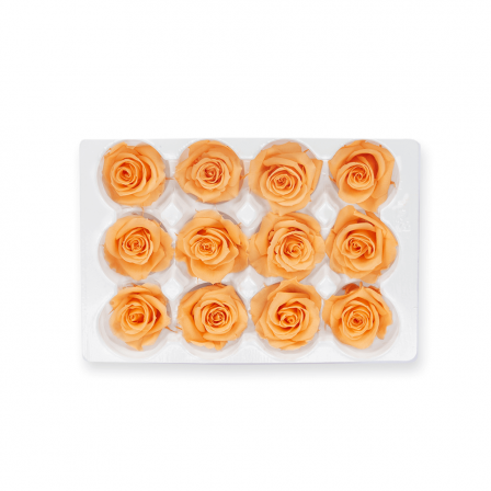 06_salmon_mini_roses