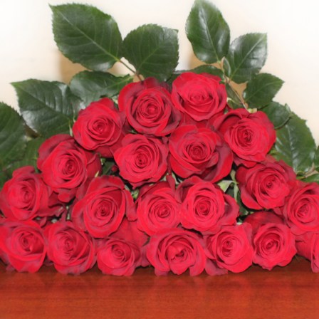 Freedom Roses - Bulk Order- 60-70CM