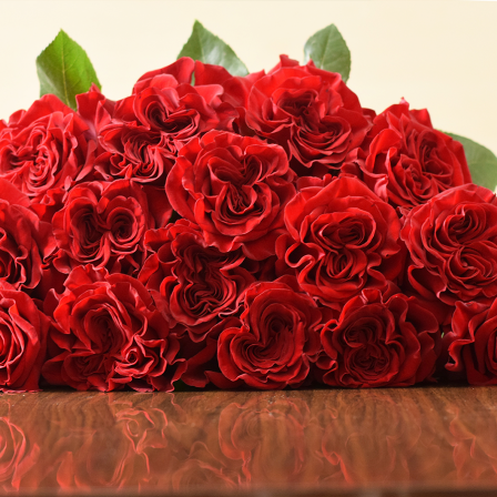 Hearts Garden Roses - Bulk Order- 50-60CM