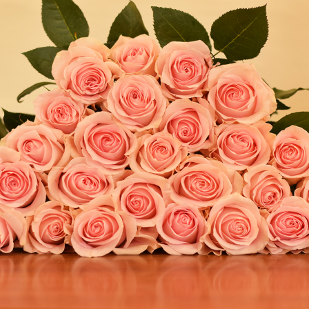 Luciano Roses - Bulk Order- 60-70CM