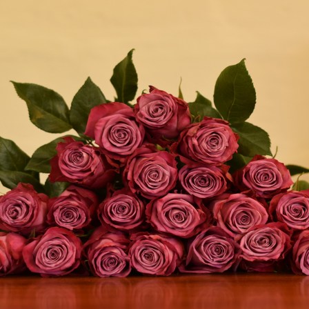 Moody Blues Roses - Bulk Order- 60-70CM