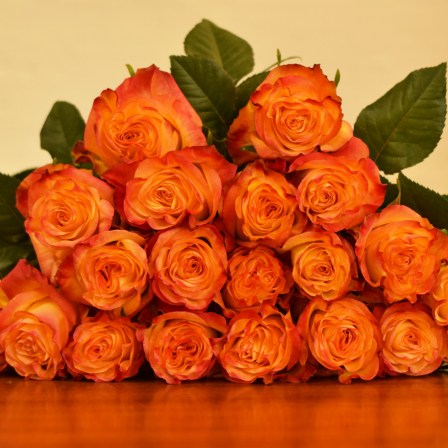 Newsflash Roses- Bulk Order- 50-60CM