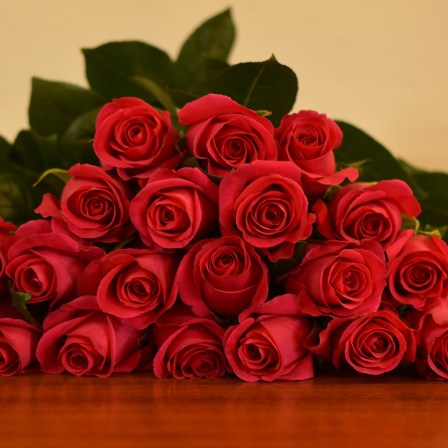 Pink Floyd Roses - Bulk Order-60-70CM