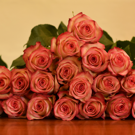 Paloma Roses - Bulk Order- 40-50-60CM