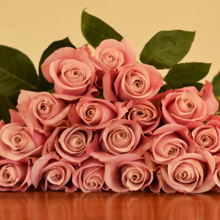 Secret Garden Roses - Bulk Order-50-60CM