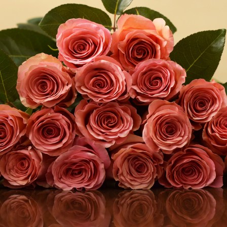 Saga Roses - Bulk Order- 50-60CM