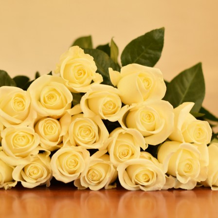 Tibet Roses - Bulk Order- 40-50CM