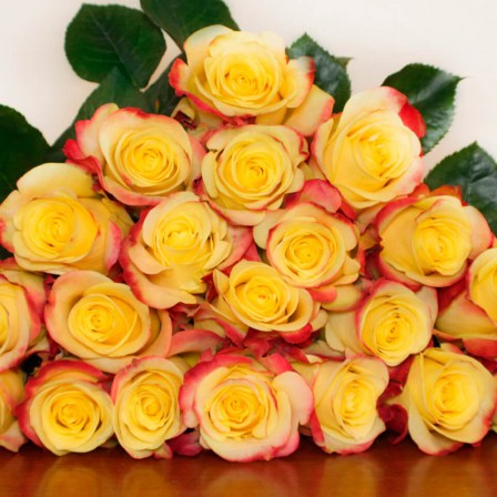 hot-merengue