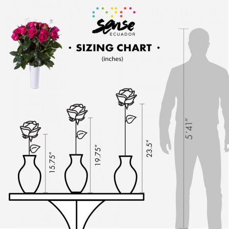 Red Rose Size Chart